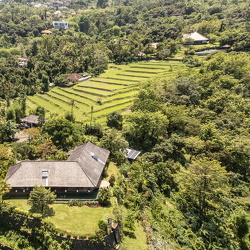 Villa Cengkeh - Roland